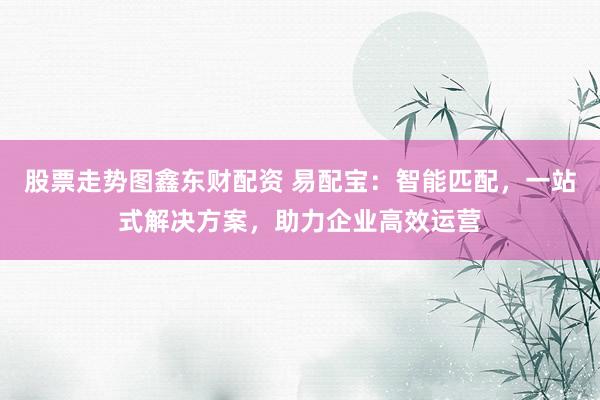 股票走势图鑫东财配资 易配宝：智能匹配，一站式解决方案，助力企业高效运营