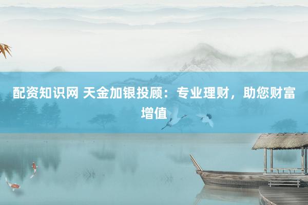 配资知识网 天金加银投顾：专业理财，助您财富增值