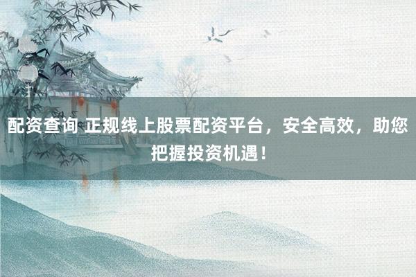 配资查询 正规线上股票配资平台，安全高效，助您把握投资机遇！