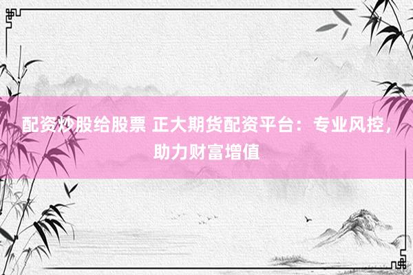 配资炒股给股票 正大期货配资平台：专业风控，助力财富增值