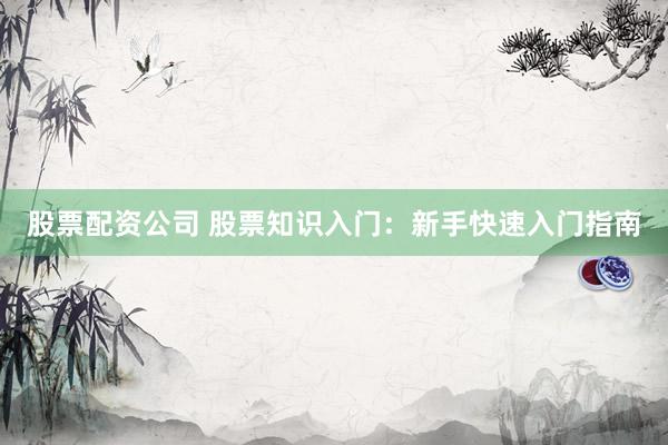 股票配资公司 股票知识入门：新手快速入门指南