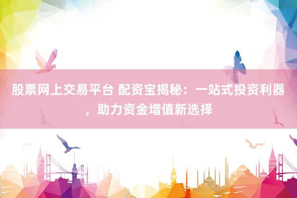 股票网上交易平台 配资宝揭秘：一站式投资利器，助力资金增值新选择
