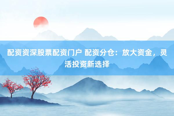 配资资深股票配资门户 配资分仓:放大资金,灵活投资新选择