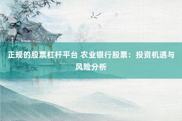 正规的股票杠杆平台 农业银行股票:投资机遇与风险分析