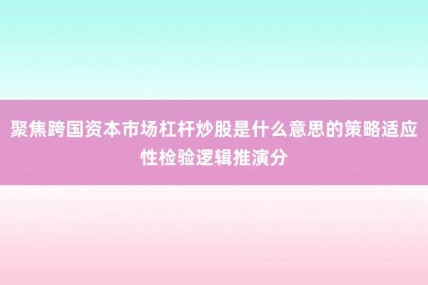 聚焦跨国资本市场杠杆炒股是什么意思的策略适应性检验逻辑推演分