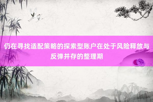 仍在寻找适配策略的探索型账户在处于风险释放与反弹并存的整理期
