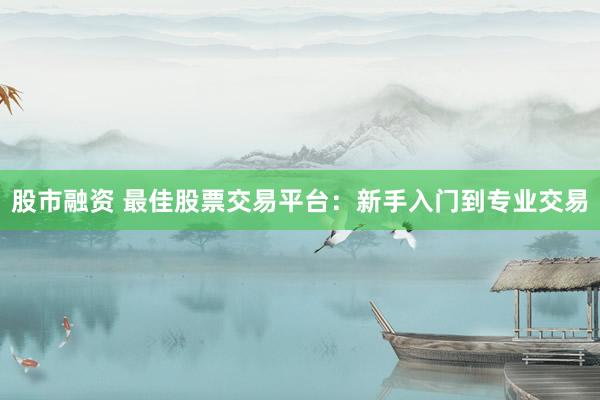 股市融资 最佳股票交易平台：新手入门到专业交易