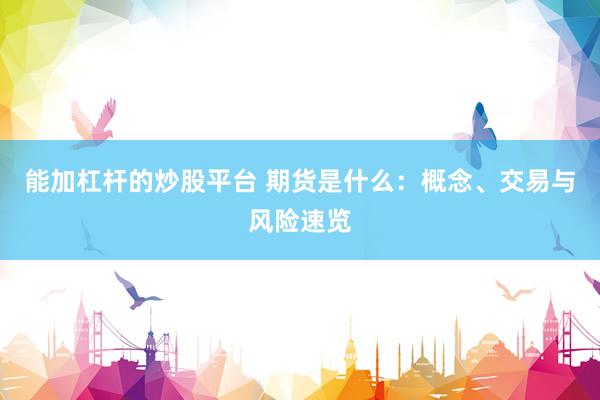 能加杠杆的炒股平台 期货是什么：概念、交易与风险速览